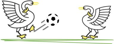 Schwanenkueken_Logo Schwanenkueken_Logo